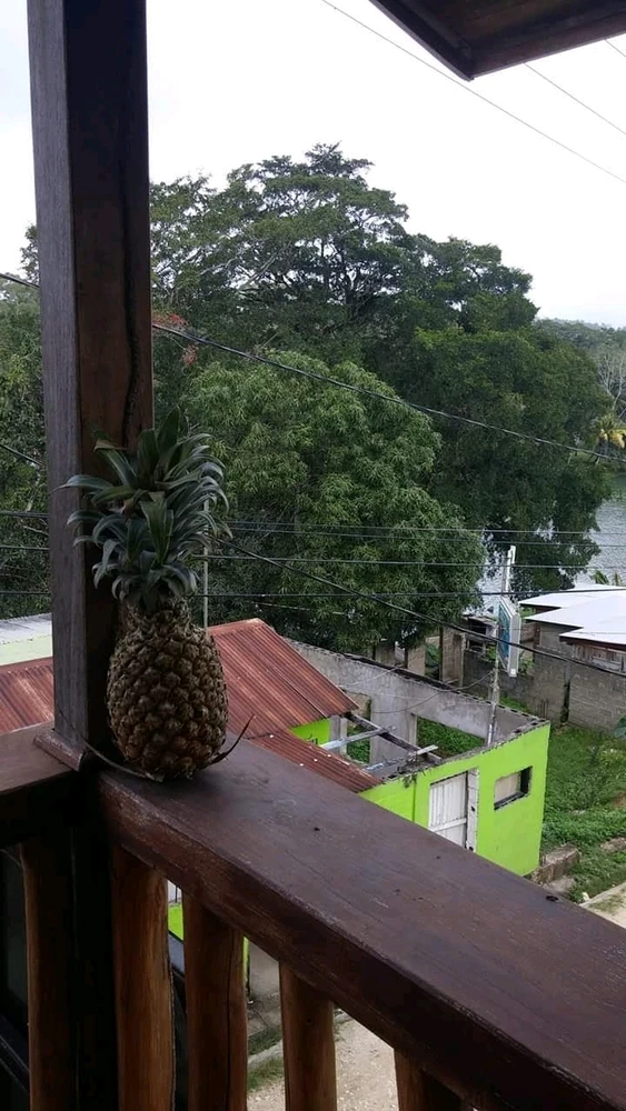 GIF Jen tarapyndan ýüklenen