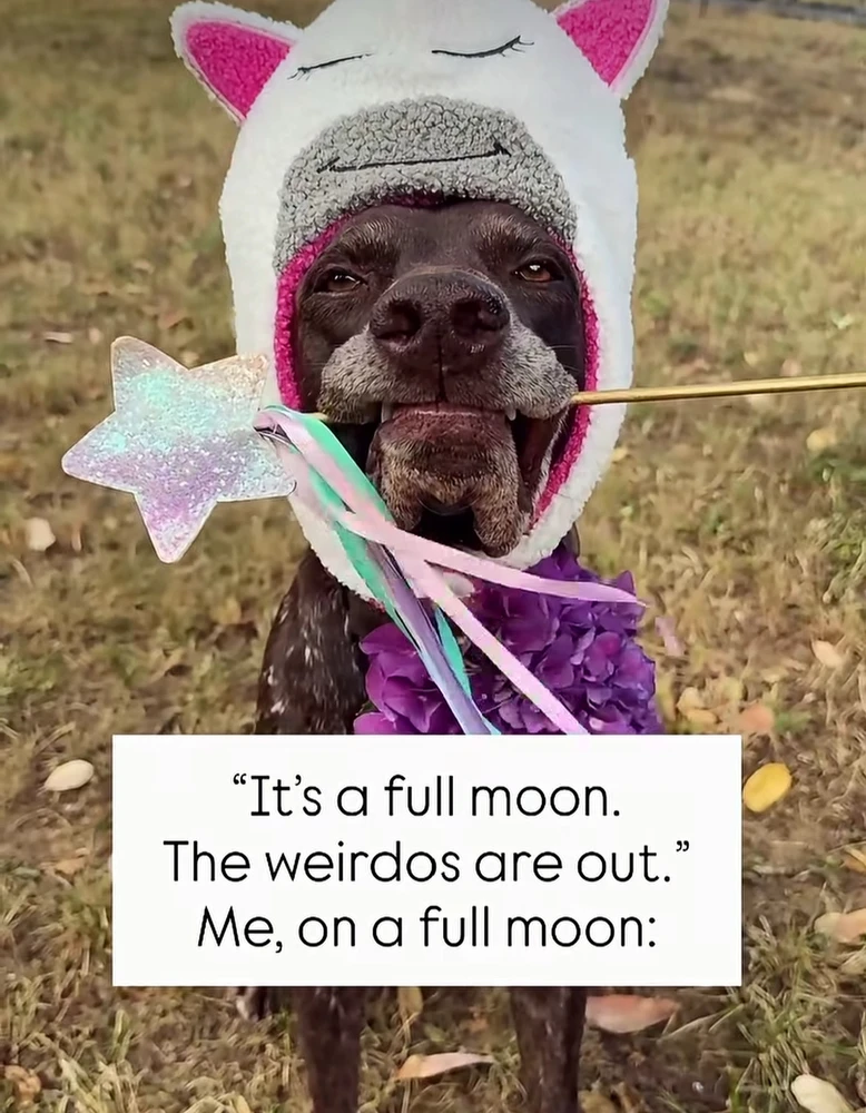 GIF uploaded by ℳℴ𝓇𝓃𝒾𝓃ℊ𝓈𝓉𝒶𝓇