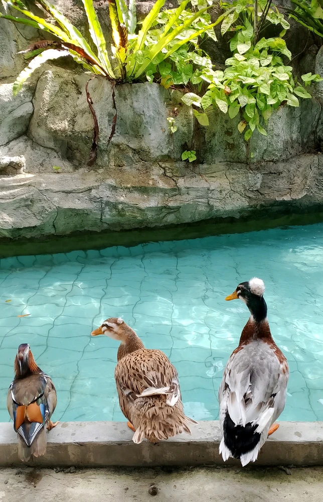 GIF uploaded by Samantha