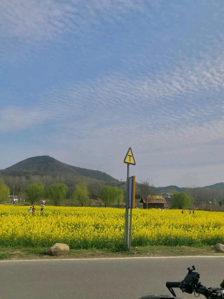Image uploaded by Shaa