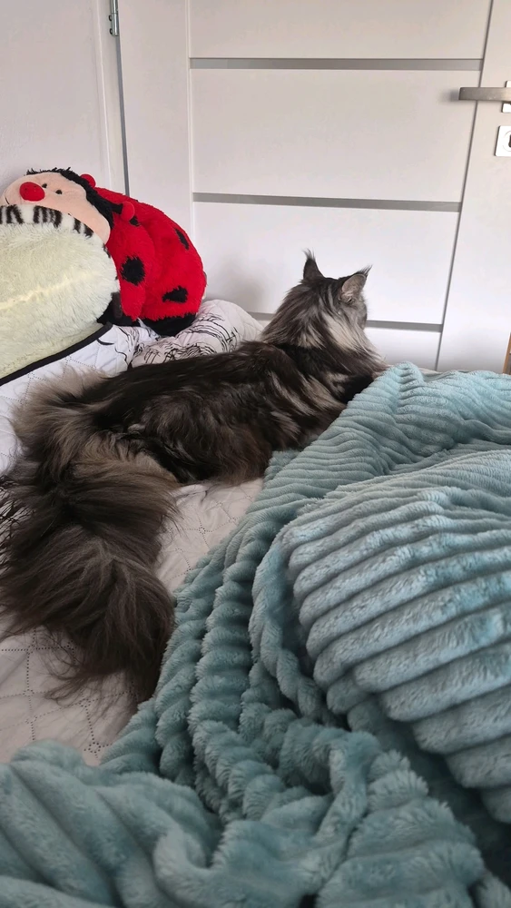 GIF uploaded by Wiktoria