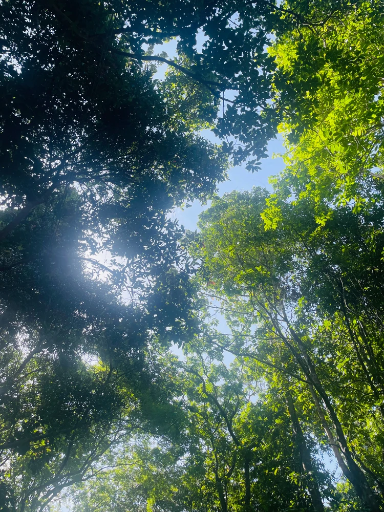 GIF uploaded by Geeth