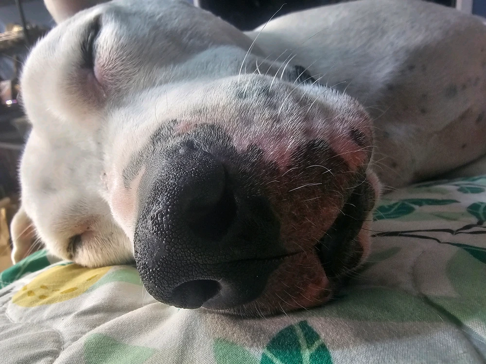 GIF uploaded by Arlo