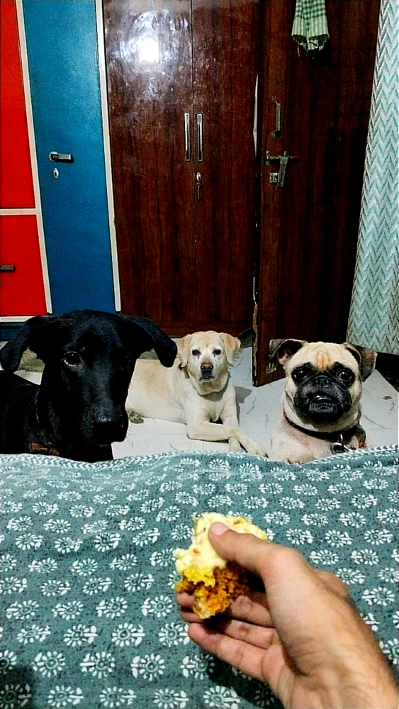 GIF uploaded by Saurabh Sharma