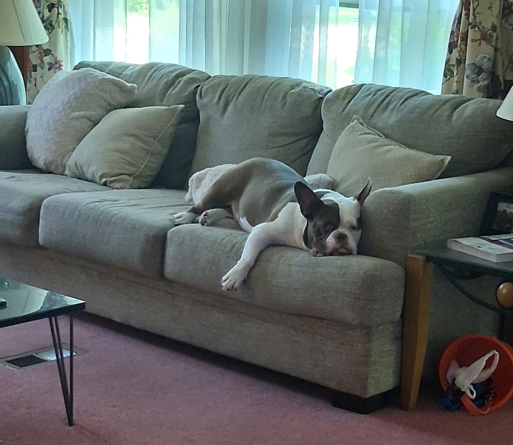 GIF uploaded by Joe