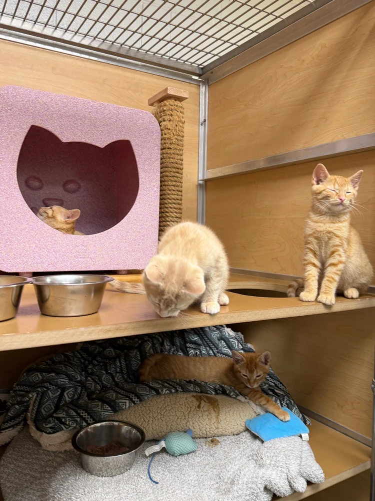 تصویر Robbie کی طرف سے اپ لوڈ کی گئی