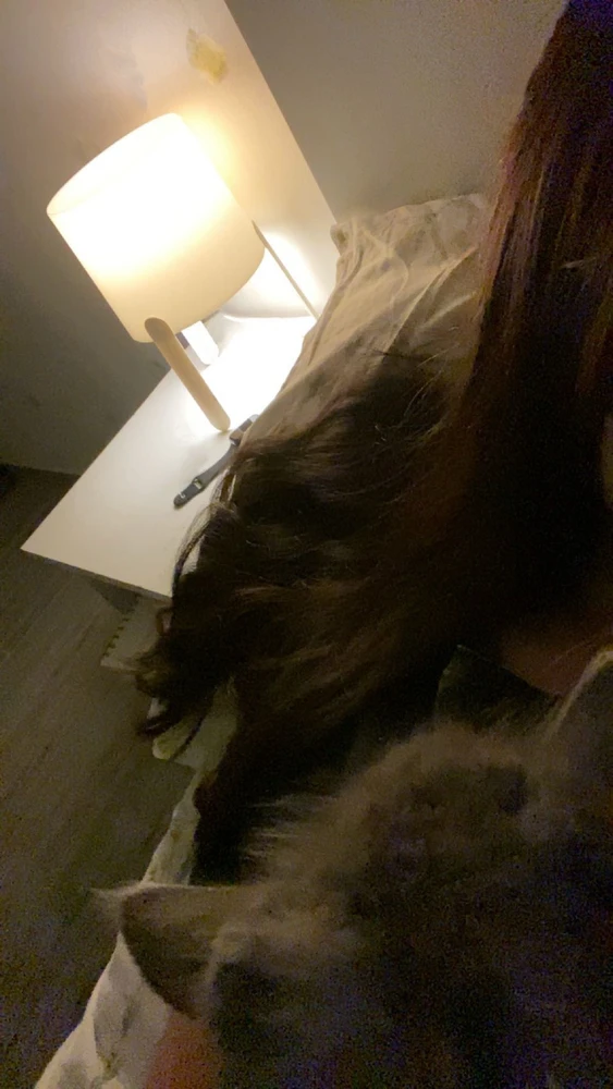 GIF dimuat naik oleh G