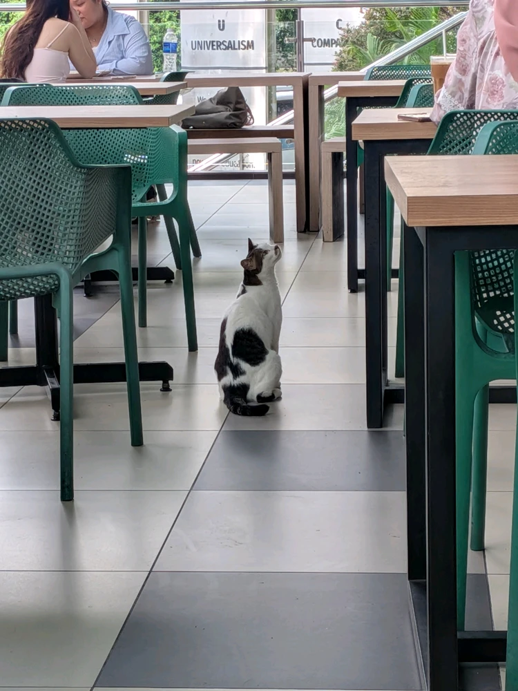 GIF uploaded by Daniel Seraj