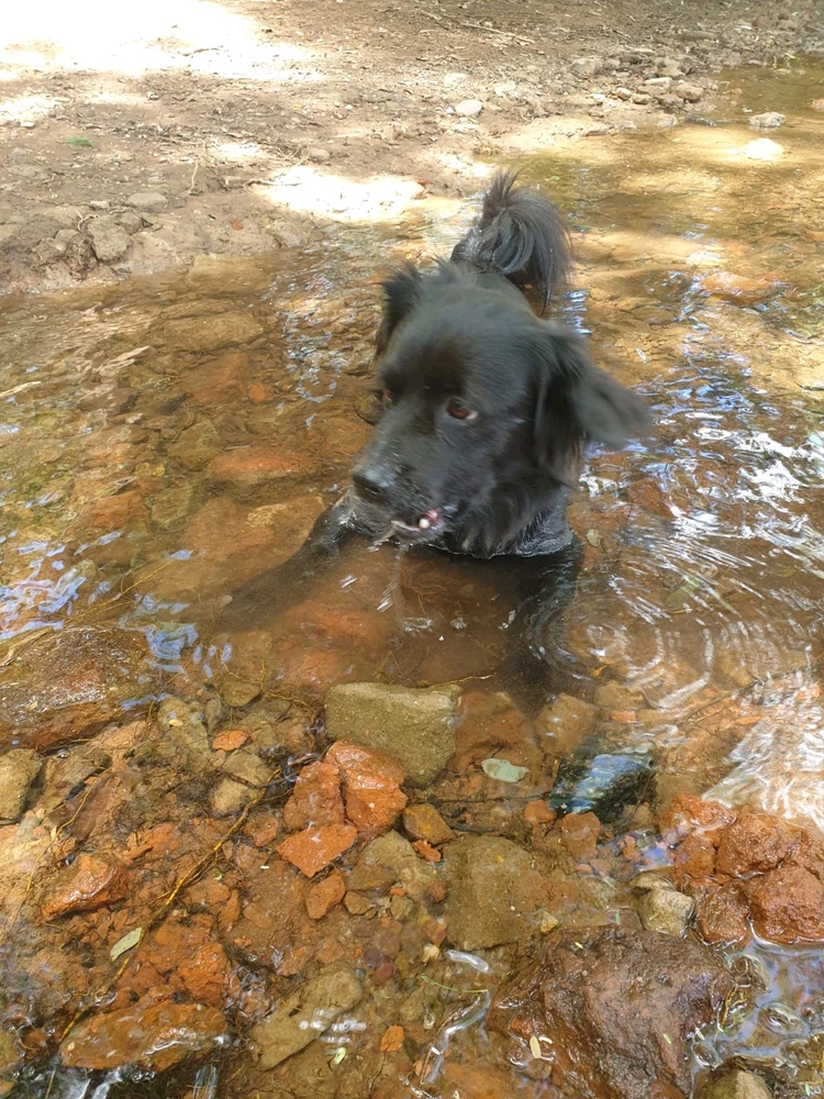 GIF uploaded by Schalk