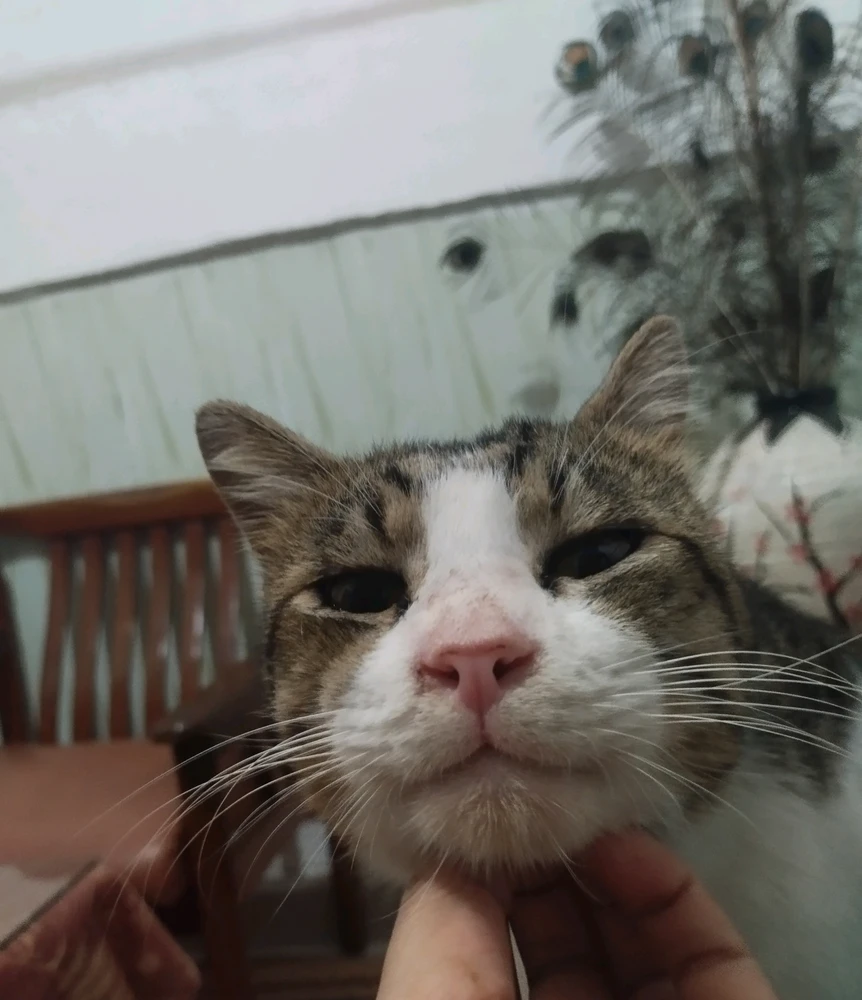 GIF imtella' minn Ern