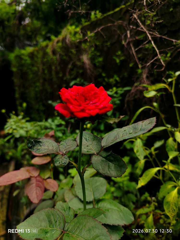 GIF uploaded by sebastian