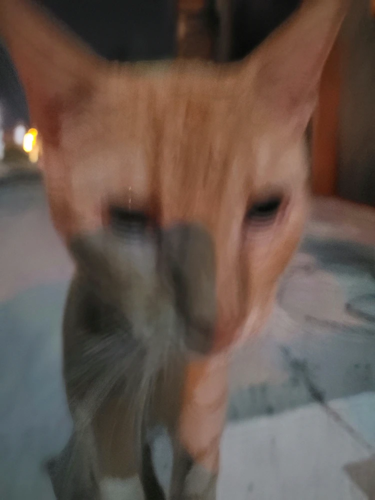 GIF uploaded by Harry