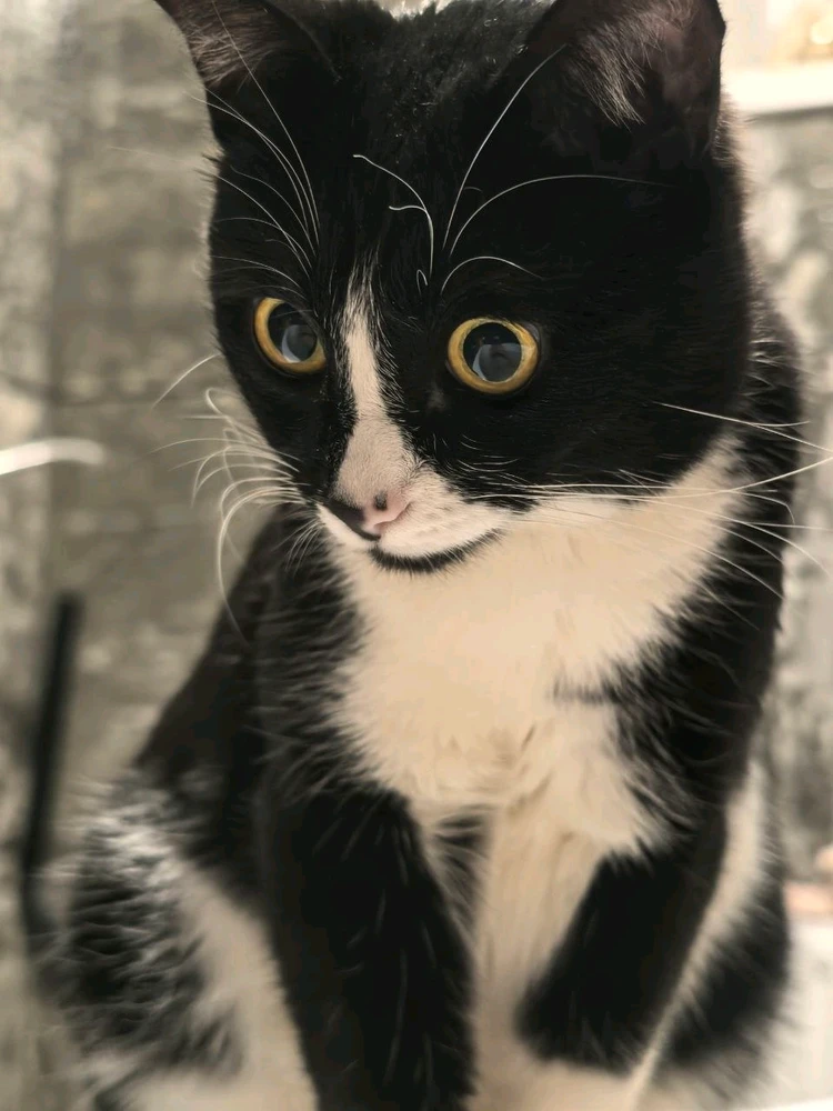 GIF dodany przez Paul
