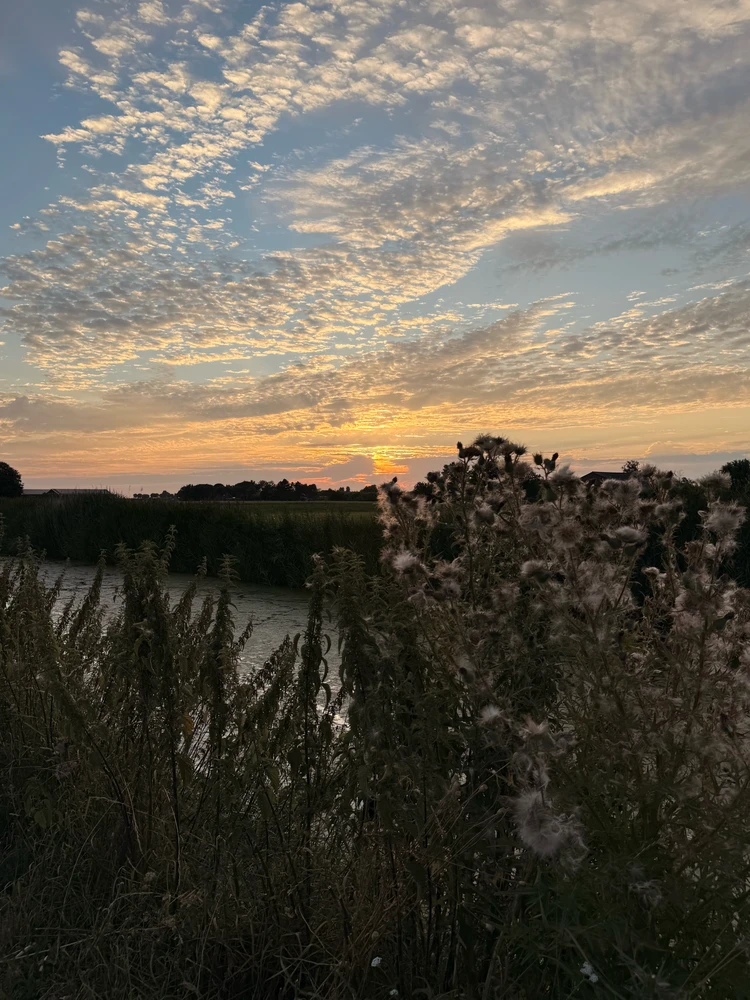 تصویر آپلود شده توسط dimma