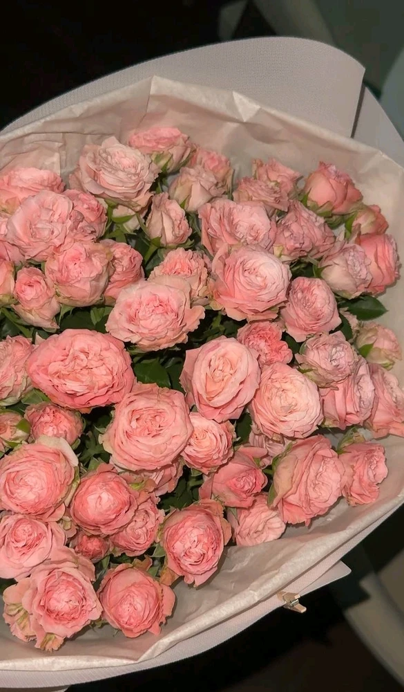 Image uploaded by Kawtar