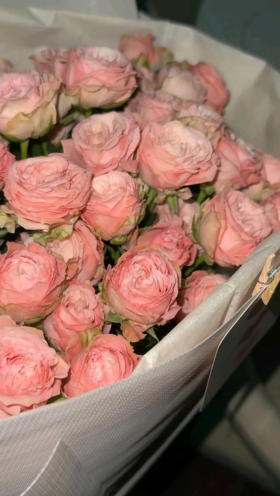 Image uploaded by Kawtar