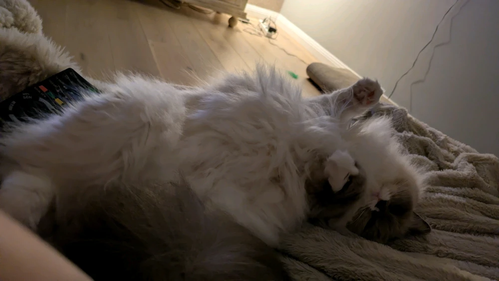 GIF pujat per Sarah