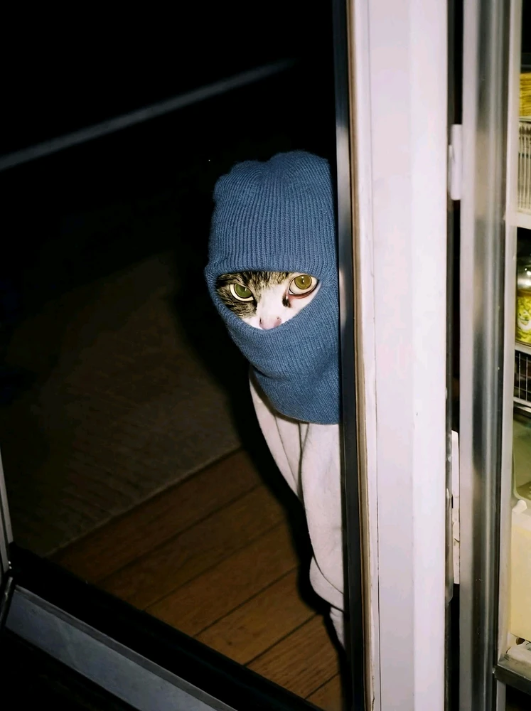 GIF dodany przez Sissy Kitty