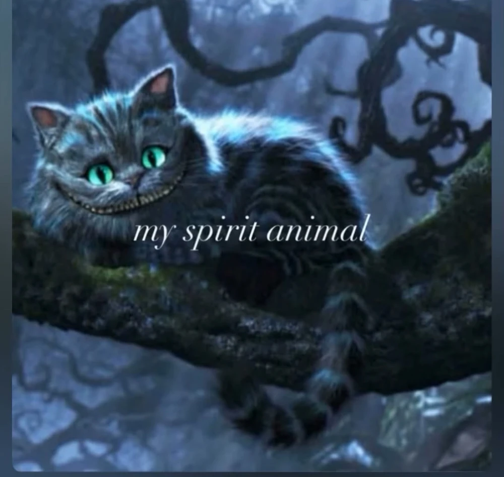 GIF ℳℴ𝓇𝓃𝒾𝓃ℊ𝓈𝓉𝒶𝓇 tarapyndan ýüklenen