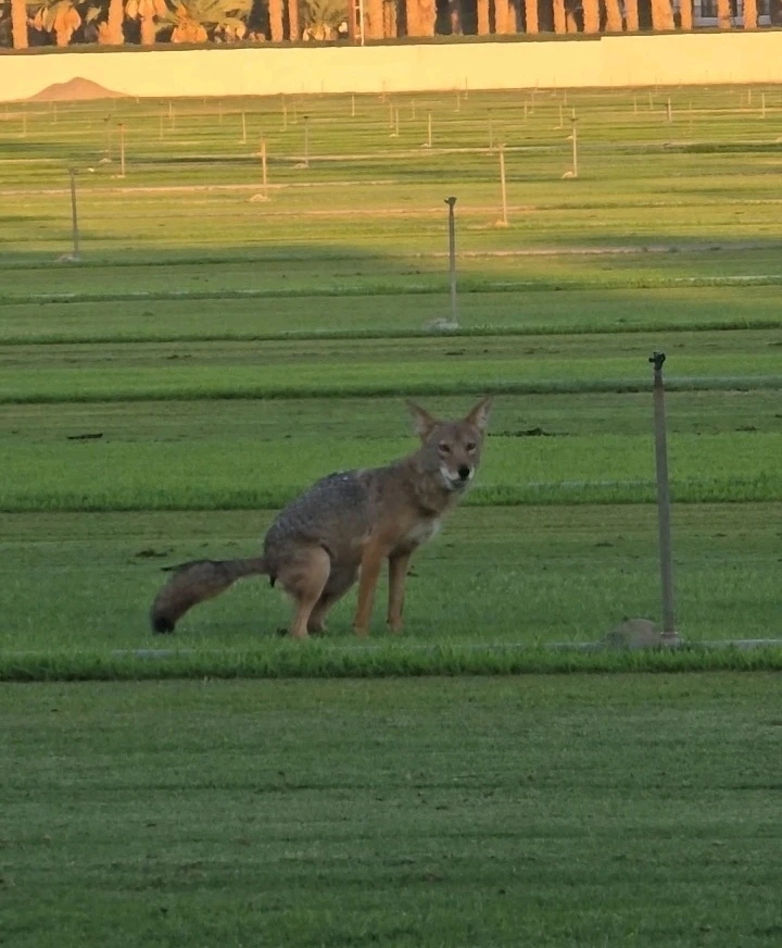 GIF uploaded by Alexis