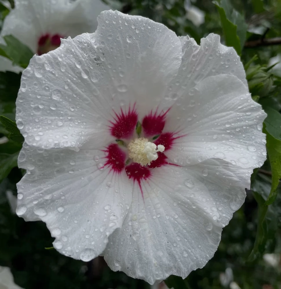 GIF uploaded by Ernie