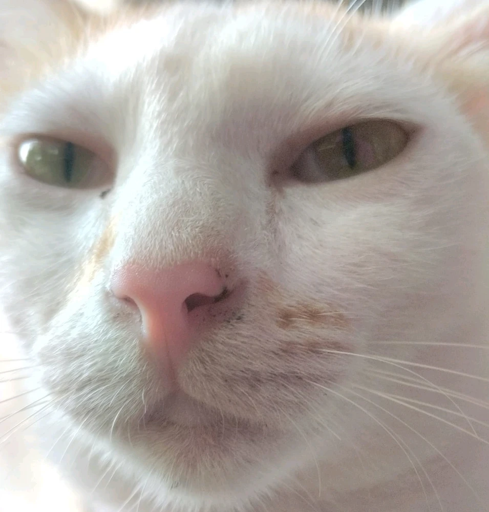 GIF uploaded by Hana
