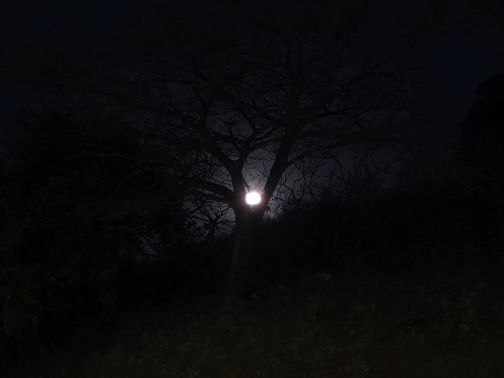 Image uploaded by Katt