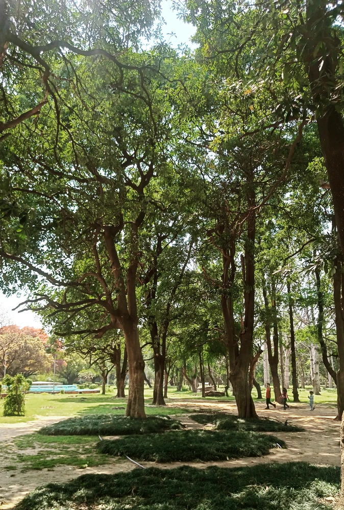 GIF uploaded by Shubh