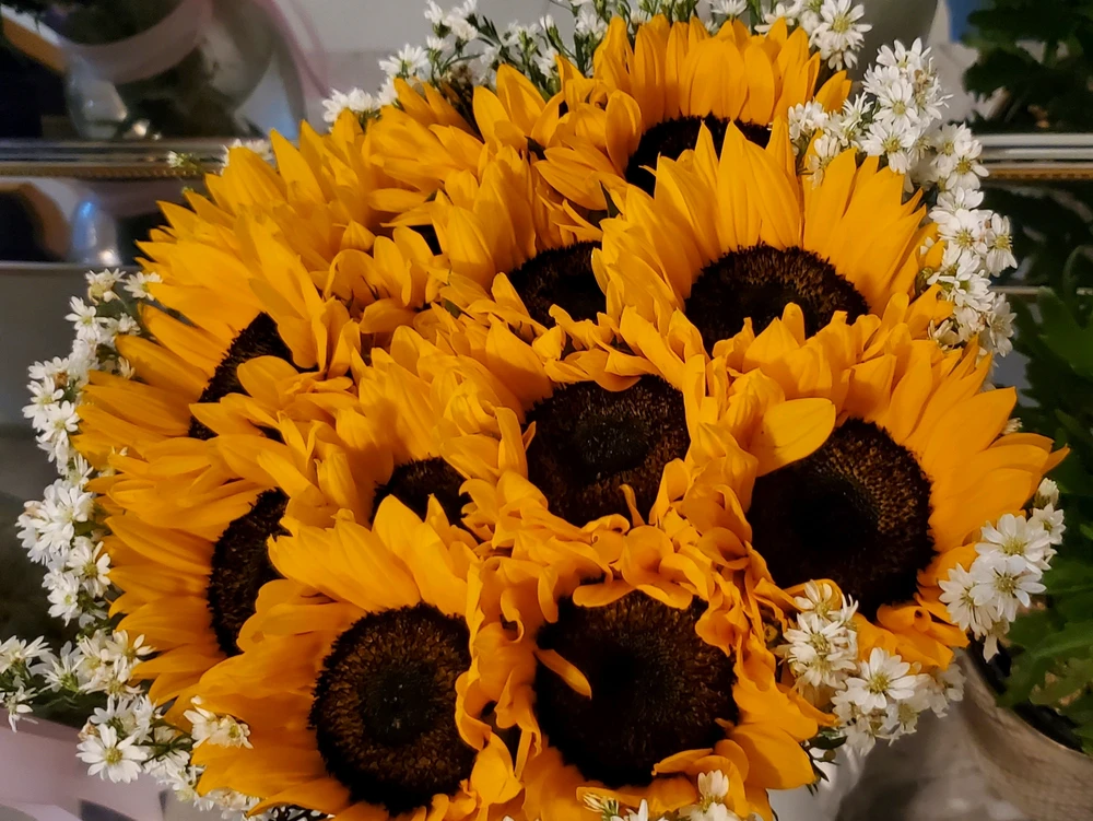 Image uploaded by Laury