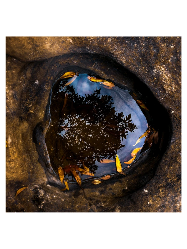 Image uploaded by Assis