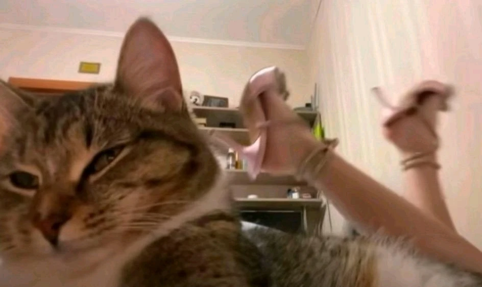 GIF Jude tarapyndan ýüklenen