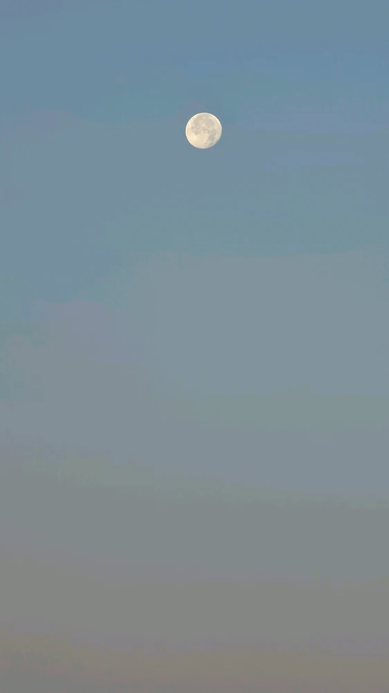 GIF gi-upload ni George