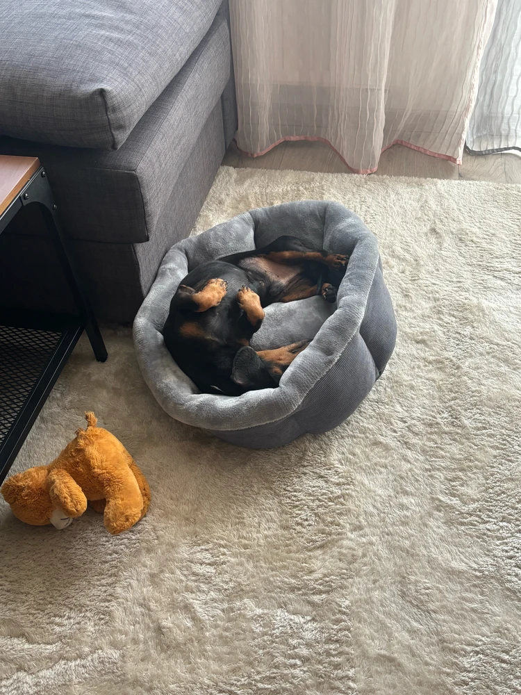 GIF uploaded by Eliza