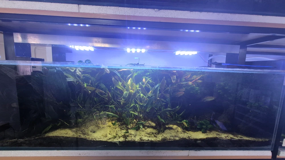 GIF uploaded by Rae