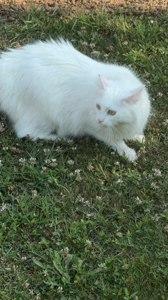 GIF uploaded by A