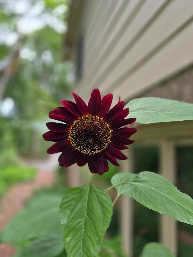 GIF uploaded by Bradford