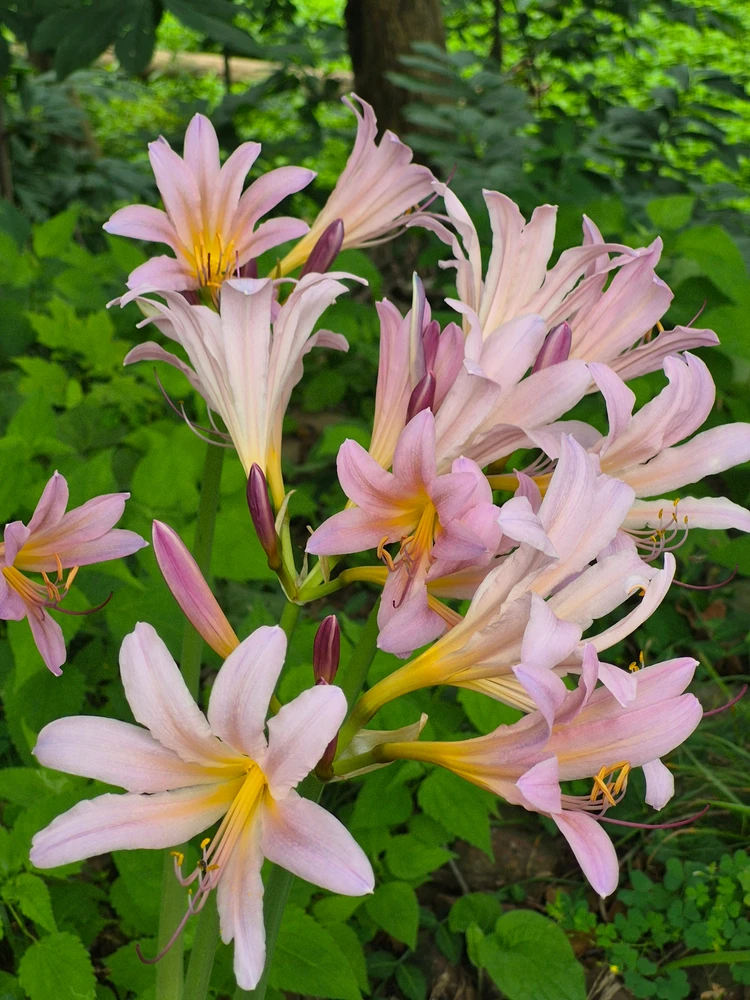 GIF uploaded by Bradford