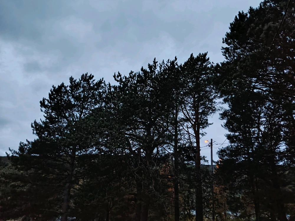 GIF uploaded by Eivind