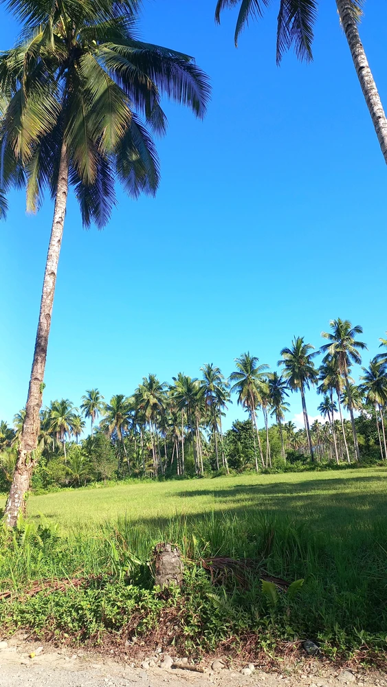 GIF na in-upload ni LENIE