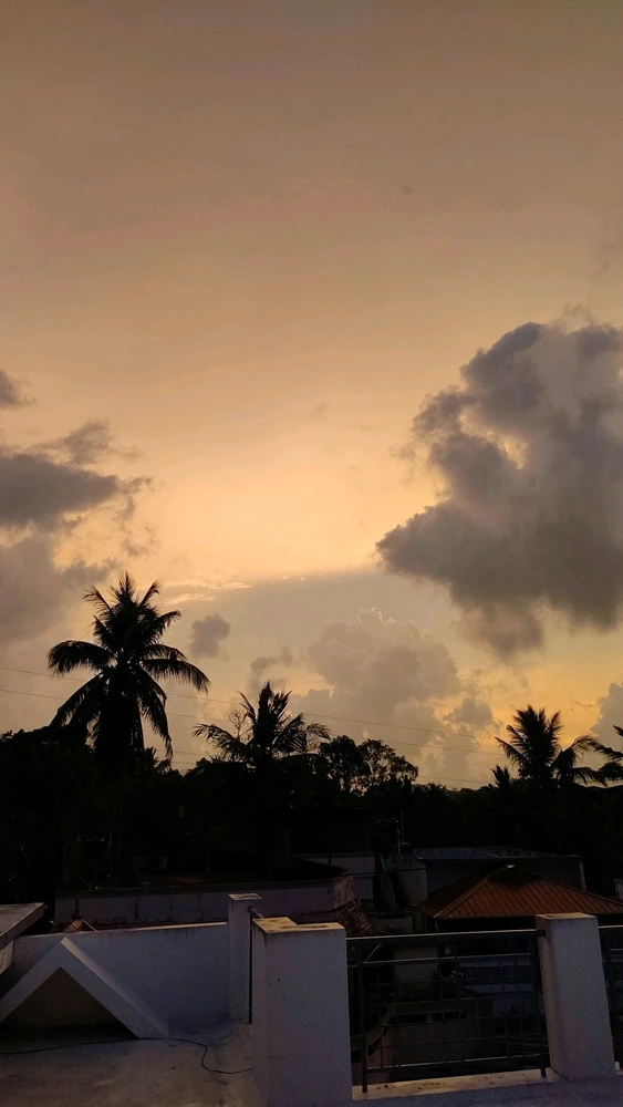GIF uploaded by Adam