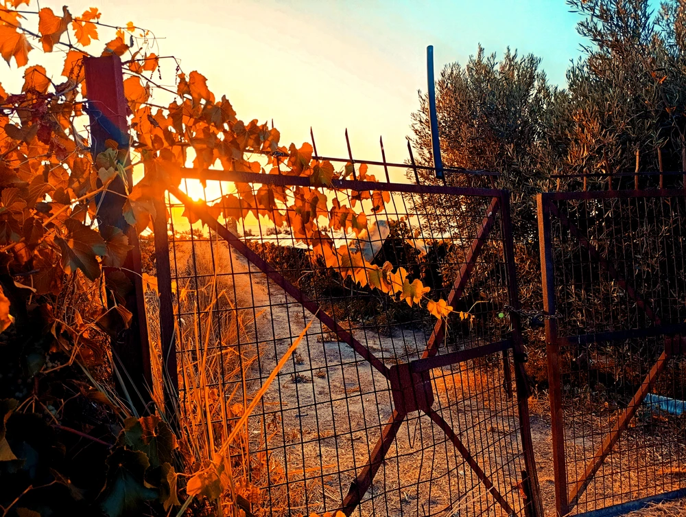GIF uploaded by Aggelos