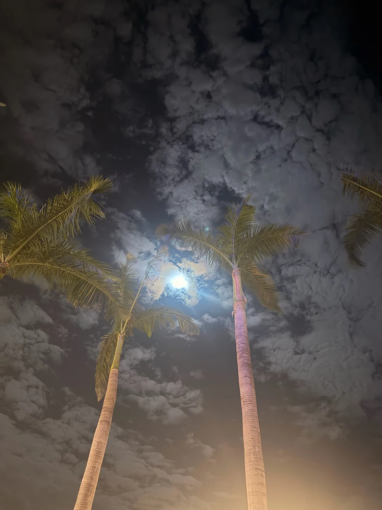 GIF uploaded by Eduardo Acolt Mosqueda
