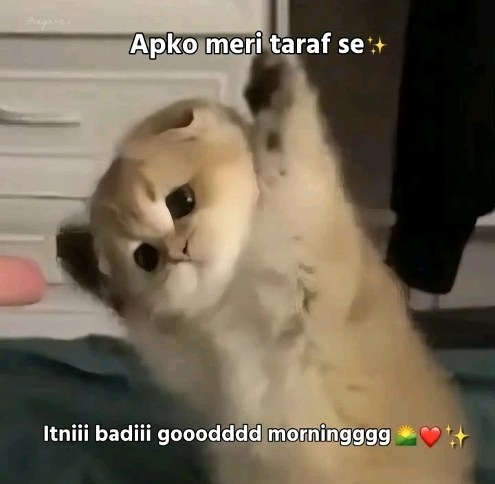 GIF được kishan tải lên