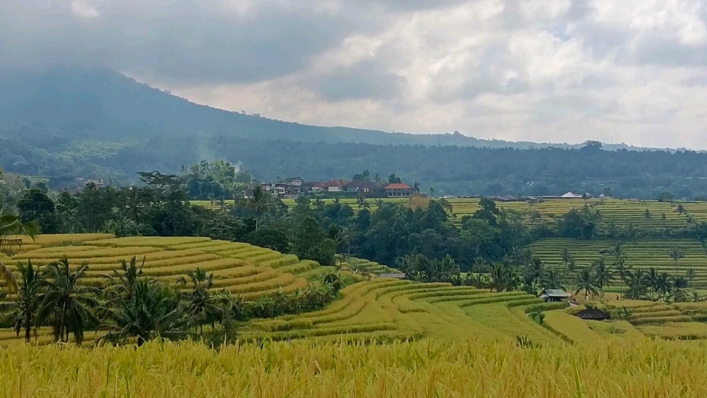 Gambar diunggah ku Cintya