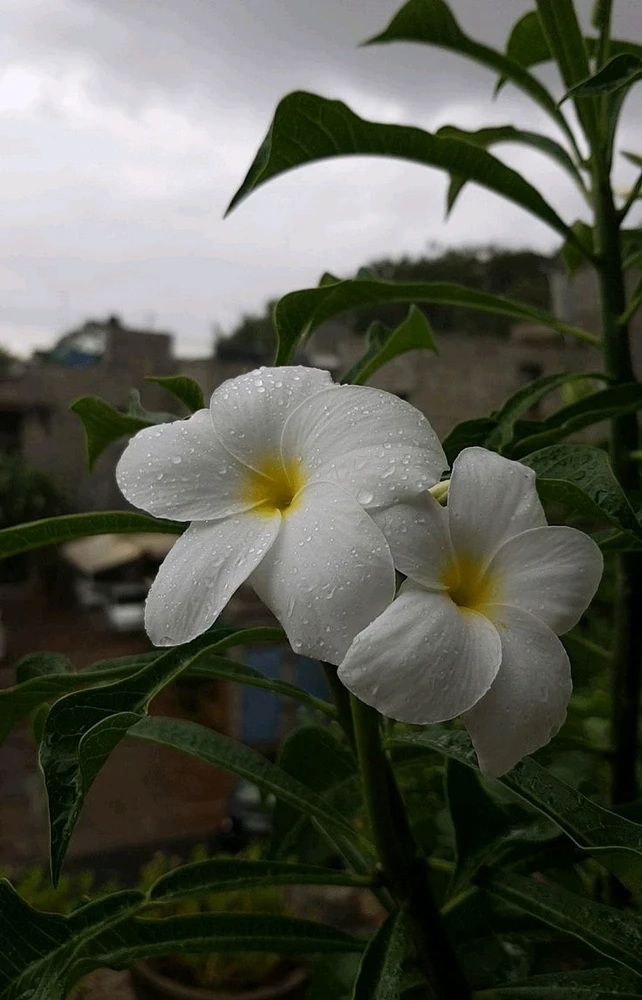 GIF uploaded by 𝑨𝒏𝒆𝒆𝒍..