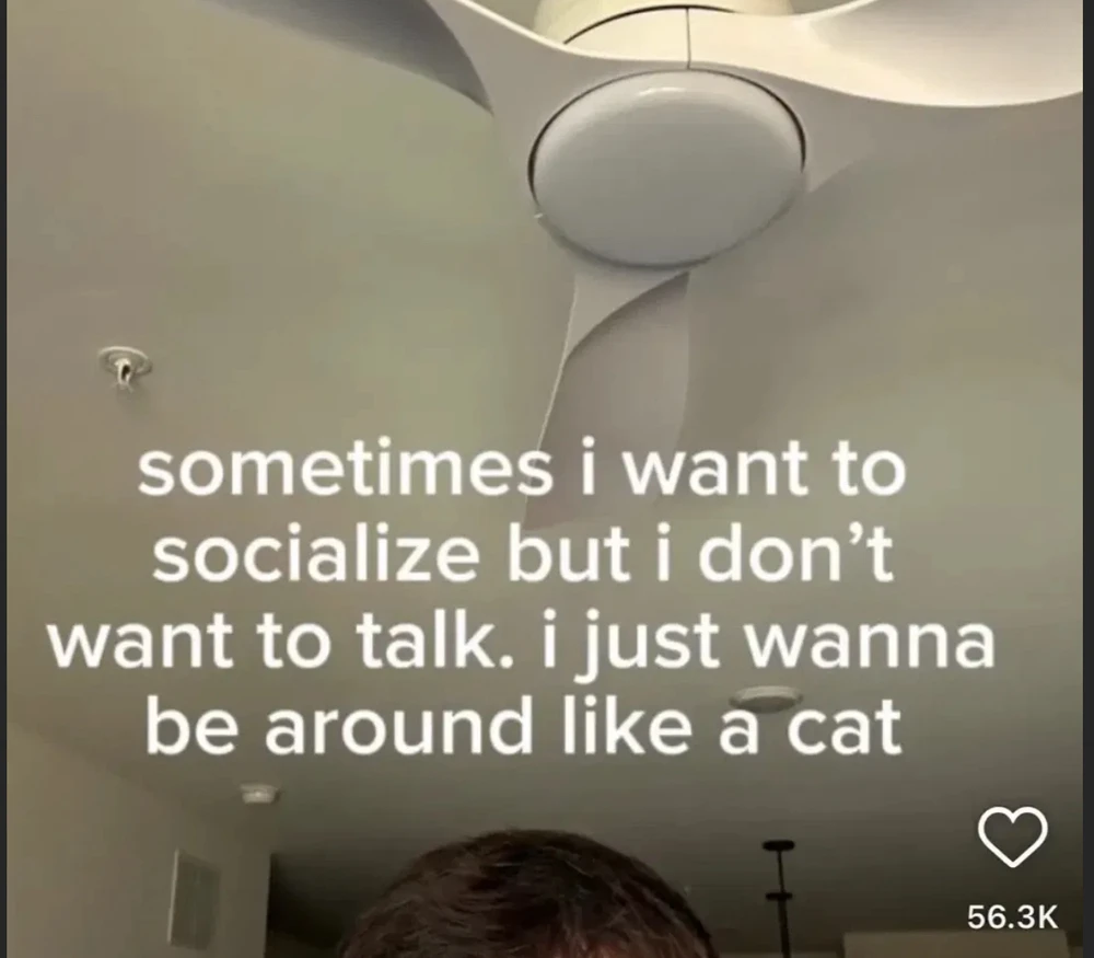 GIF nahrál saa