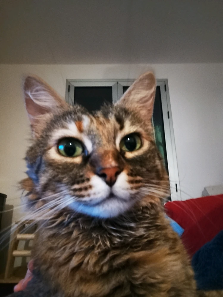 GIF lastet opp av Nicola