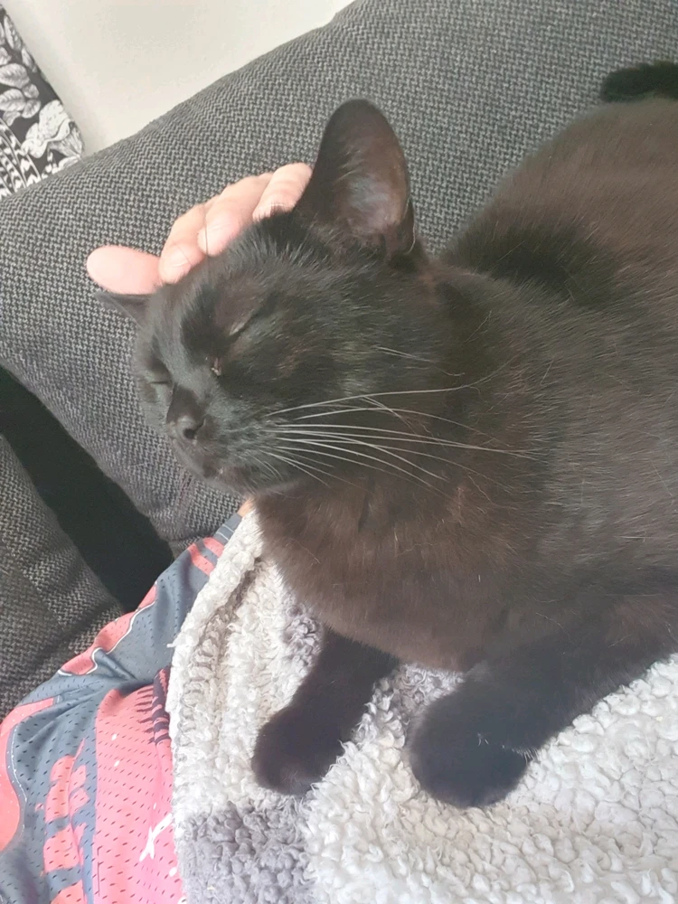 GIF Deprecious tarapyndan ýüklenen