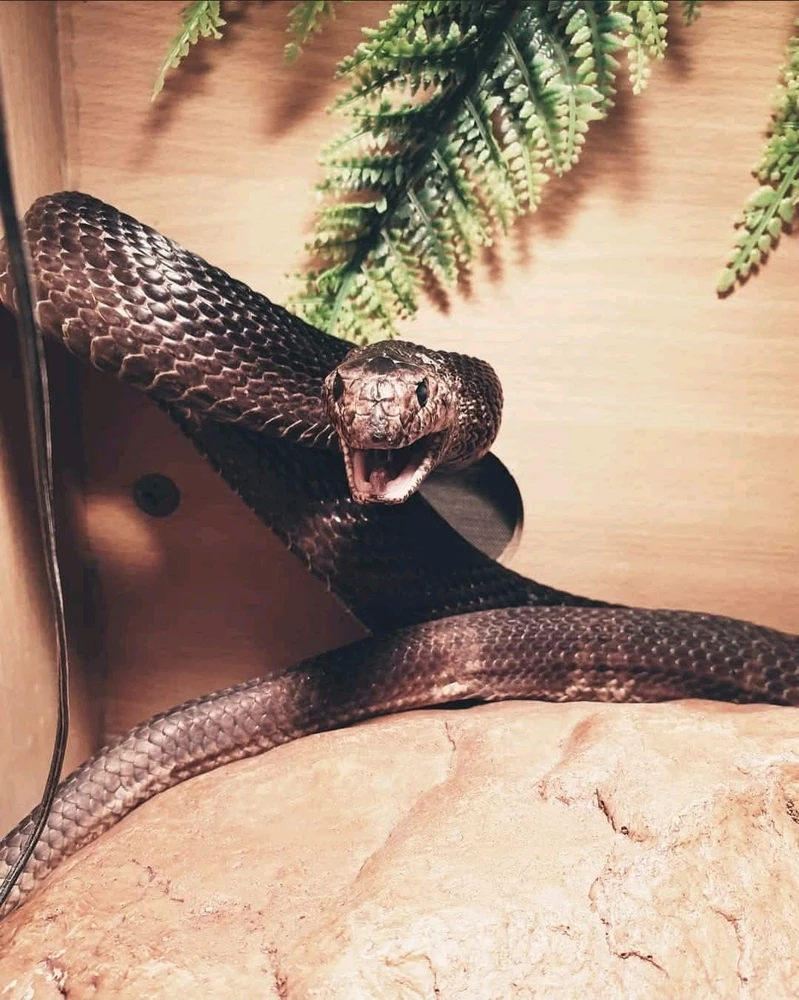 GIF postavljen od Ella