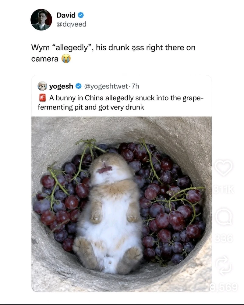 GIF uploaded by Maili